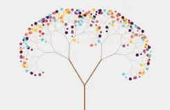 Don and Adam Discuss Folds